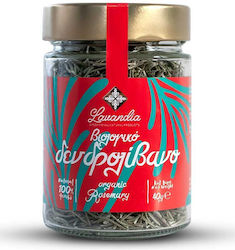 Lavandia Δενδρολίβανο Βιολογικό Προϊόν 40gr