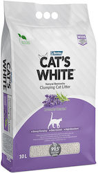 Cat's White Μπετονίτης με Άρωμα Λεβάντα 10lt