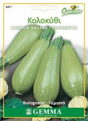 Gemma Σπόροι Κολοκυθιού Bolognese Πράσινο