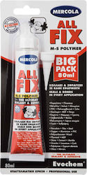 Mercola All Fix Σφραγιστική Σιλικόνη Διάφανη 80ml