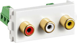 Wall Plate Socket A V RCA 2x Audio 1x Video