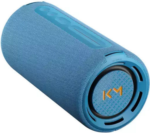 Loewe We Hear Pro Bluetooth Speaker 50W with Battery Life up to 24 hours Blue