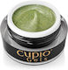 Colored Builder Gel Disco Cupio Lime Lights 15ml