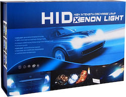 Autoline Xenon Σετ Φωτισμού Αυτοκινήτου H.i.d Slim Ballast H1 Can bus 12V 6000K Ψυχρό Λευκό
