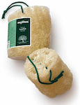 Mythos Natural Loofah Sponge 30g