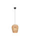 Trio Lighting Pendant Light Blue