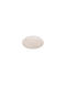 Trio Lighting Ceiling Mount Light