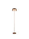 Trio Lighting LED Φωτιστικό Δαπέδου με Θερμό Λευκό Φως Καφέ