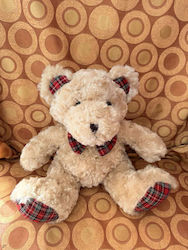 Teddy Bear