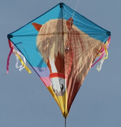 Spiderkites Rhombus Kite Fabric with Storage Bag 70x70cm 1pcs