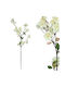 Marhome Cherry Blossom Branch Off-White Blooming Y116cm 24/144kib 00-10027-1