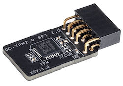 Gigabyte TPM Module TPM2.0 SPI V2.0 Accessory
