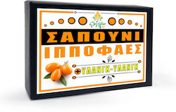 Elixirio Sanddorn & Ylang-Ylang Seife Bar Gesichtsreiniger 100gr Elixirio Sanddorn & Ylang-Ylang Seife Bar Gesichtsreiniger 100gr