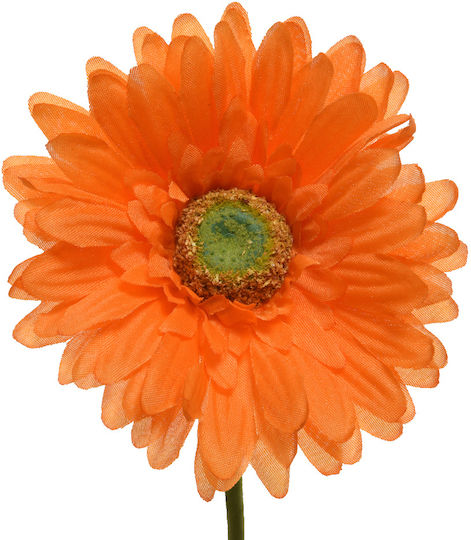 Gerbera Daisy Flower Orange 10x50cm