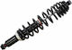 Moose Utility Division Hinten
