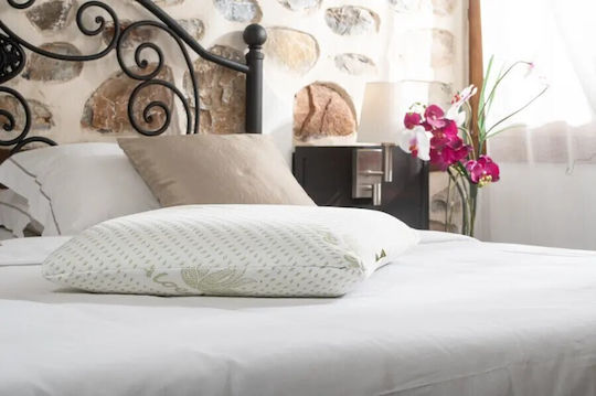 Alpha Foam Spumă de memorie Moale, Classic Medium Aloe Vera 45x55buc