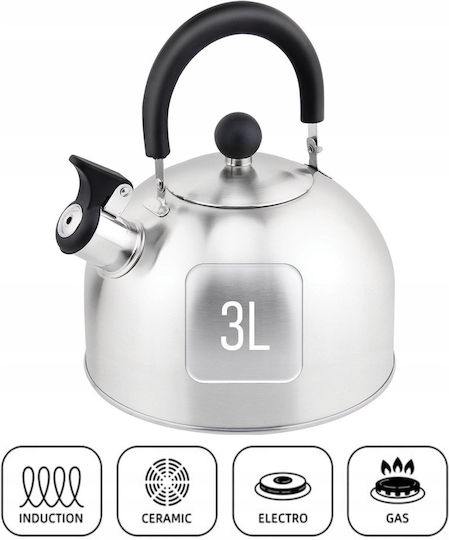 Zilan Βραστήρας Ανοξείδωτος 3000ml
