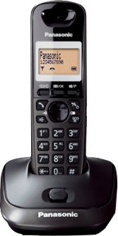 Panasonic KX-TG2511PDT Telefon fără fir Metallic Gray