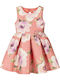 Kinderkleid Ärmellos Tüll Blumen Rouge