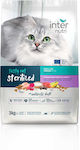 Internutri Cat Dry Food 3kg