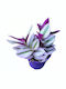 Τηλέγραφος Tradescantia Albiflora Nanouk