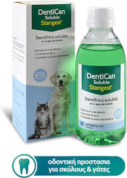 Dentican Löslich 250ml 250ml