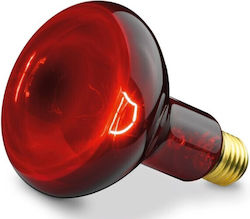 Beurer Spare Radiator Red Light And Infrared Lamps Beurer Spare Radiator Red Light And Infrared Lamps