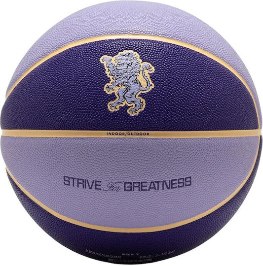 nike lebron james basketball ball