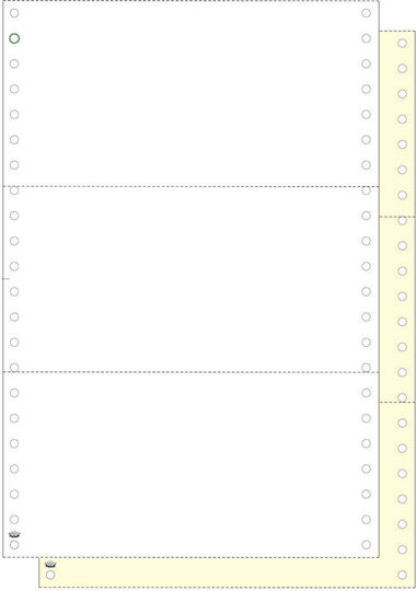 Typotrust Weighing slip 15x9 Continuous Paper