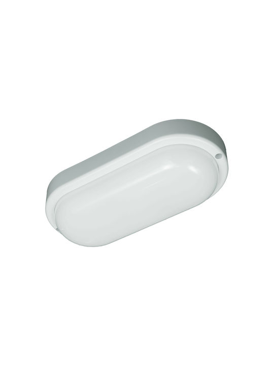 Eko Light Wandmontierte Außen-Schildkrötenleuchte LED IP64 8W