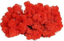 Norwegisches Moosgras 500g Rot