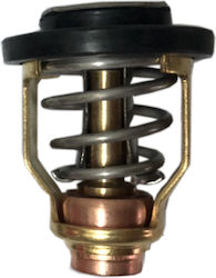 Suzuki Thermostat