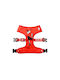 Olive Oyl Mesh Large Dnm00069