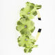 Hair Headband Flowers & Rhinestones Green