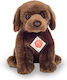 Teddy Teddy Plush Puppy for 3+ Years 25 cm