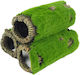 Φωλια Γαριδων Ψαριων Blue Belle Pacific Mossy R...