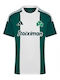 Panathinaikos 2024-25 Home Jersey Style Football
