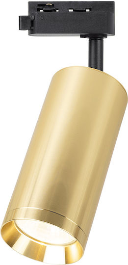 Eko Light Einzel Spot mit Fassung GU10 in Gold Farbe