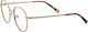 Polar Optic Gold 2004 C428 50 Brown Tortoise