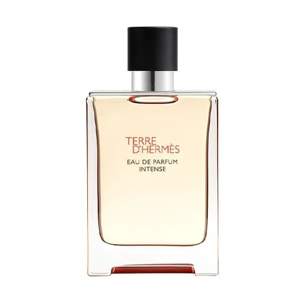 Hermes Terre D'hermès Eau de Parfum 100ml