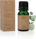 Essens Ätherisches Öl Eukalyptus 10ml