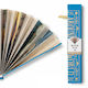 IF Book Fan Around the World 18.5cm