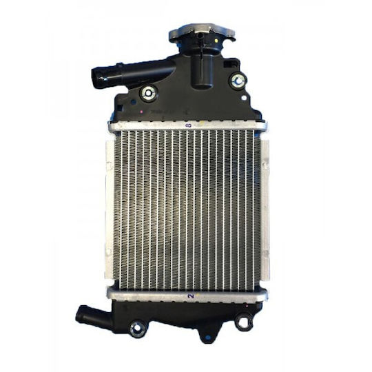 Radiator Honda PCX 125 12-18 Taiwan MPG