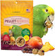 Lafeber Pellet-berries Sunny Orchard Pellet Food In Ball Shape Medium Large Parrots 284g