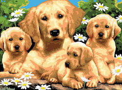 Malen nach Zahlen 30x40cm Golden Retriever Malen nach Zahlen 30x40cm Golden Retriever