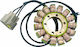 Ricks Motorsport Electric Coils Motorcycle 21-038