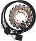 Ricks Motorsport Electric Coils Motorcycle 21-822