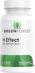 Green Forest H Effect 60 κάψουλες