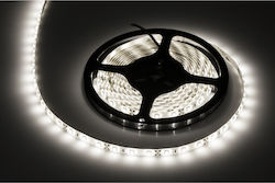 Rebel Wasserdicht LED-Streifen 12V mit Natürliches Weiß Licht 5m Rebel Wasserdicht LED-Streifen 12V mit Natürliches Weiß Licht 5m