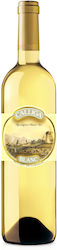 Wine White Semi-Dry 750ml Wine White Semi-Dry 750ml